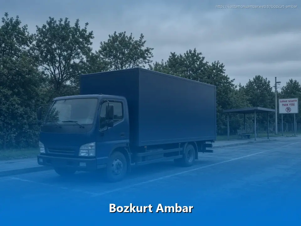 Bozkurt Ambar