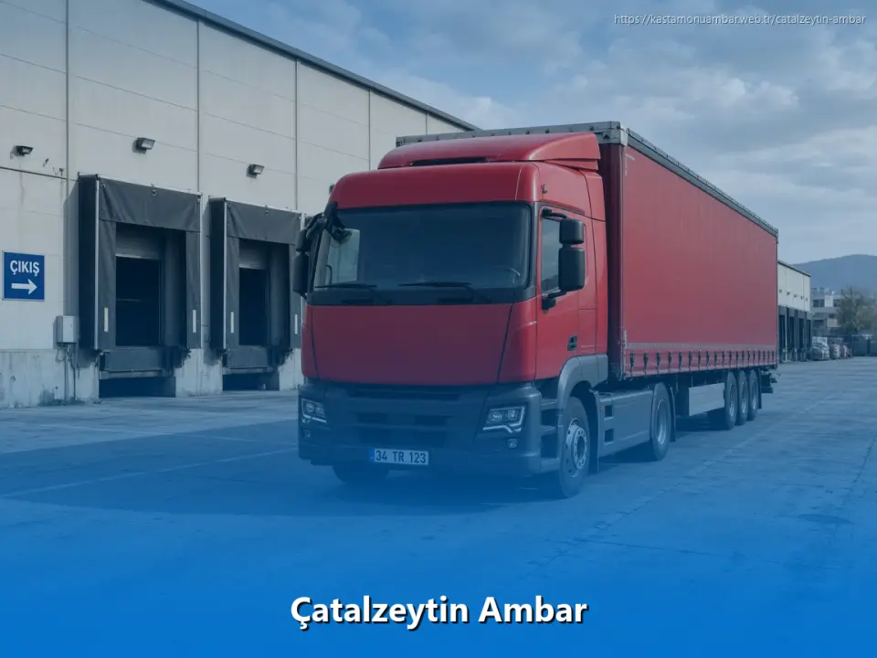 Çatalzeytin Ambar