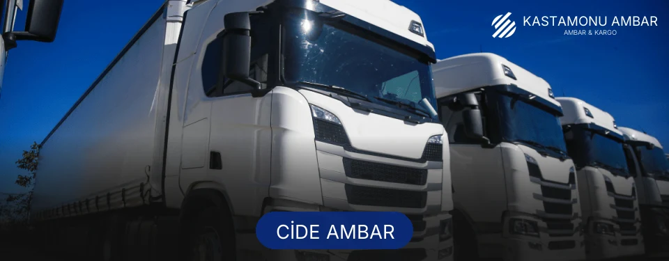 Cide Ambar