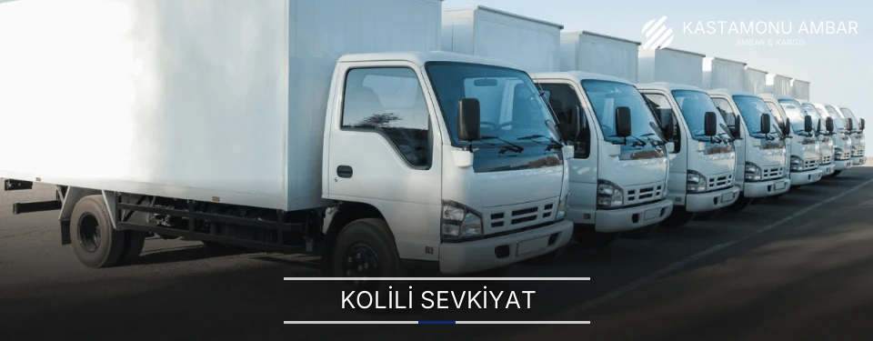 Kastamonu Kolili Sevkiyat Ambar Firmaları Kastamonu Kolili Sevkiyat Ambar Firmaları