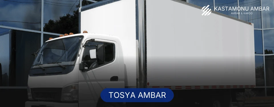 Tosya Ambar
