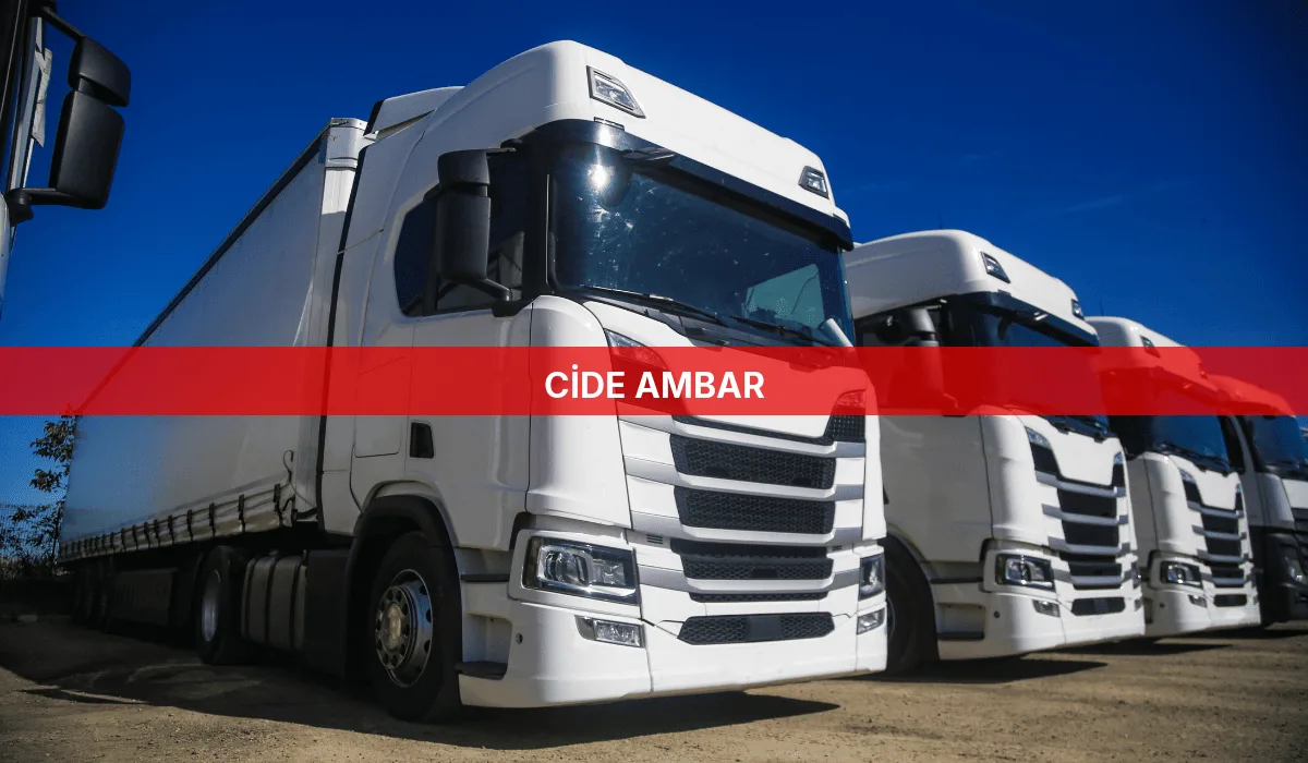 Cide Ambar