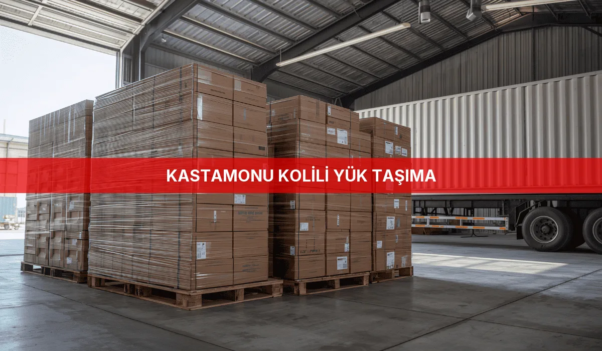 Kastamonu Kolili Yük Taşıma